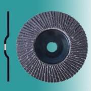 Coated flap disc